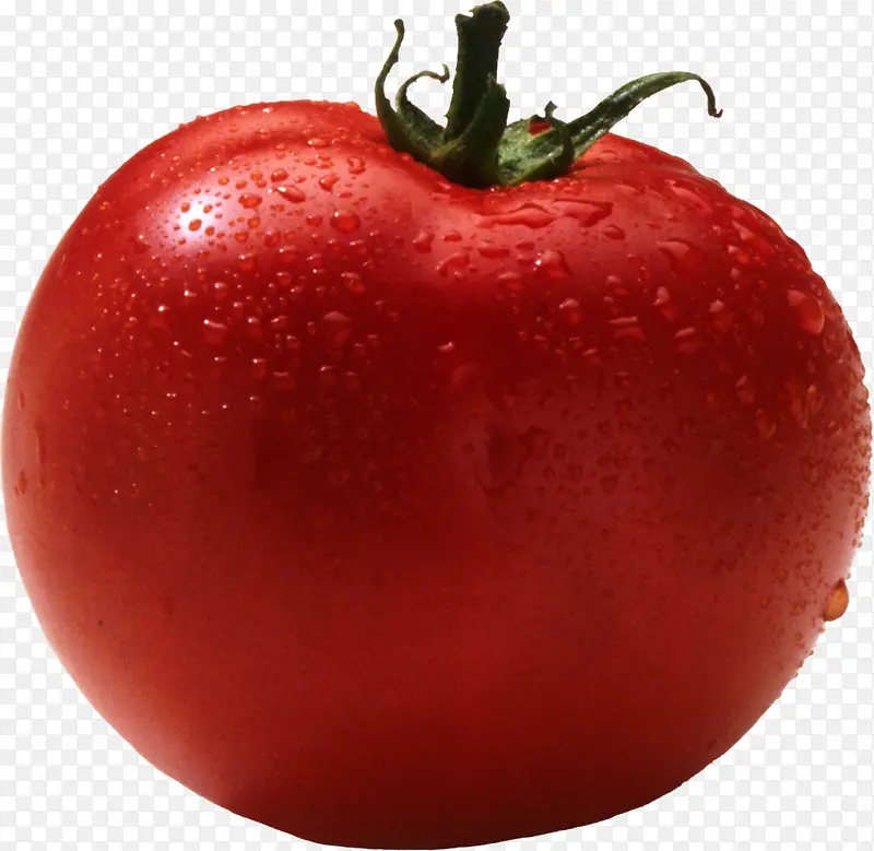 沾水的西红柿