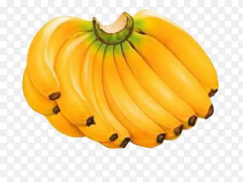 一大把黄色的香蕉