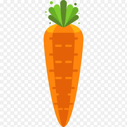 Carrot 图标
