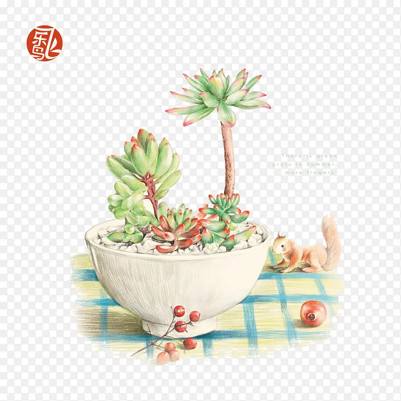 植物