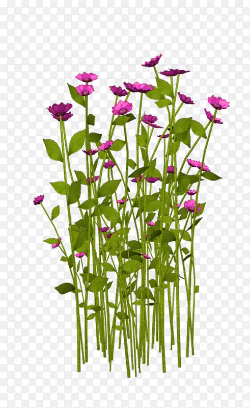 花朵紫色PNG素材