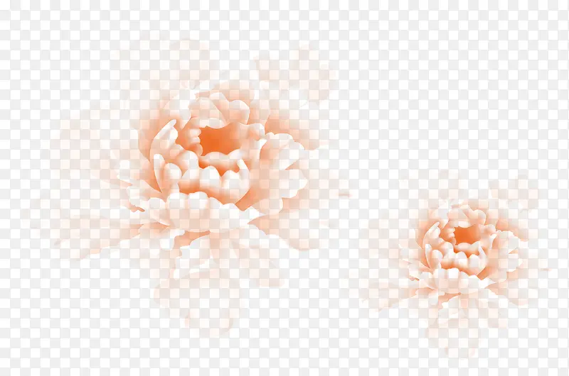 半透明的粉色牡丹花