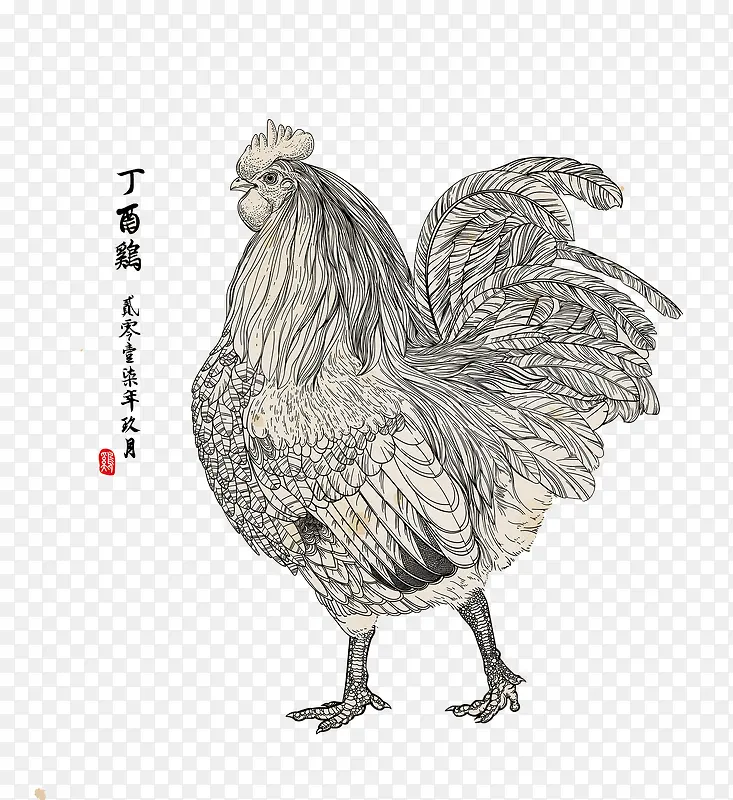 2017手绘鸡
