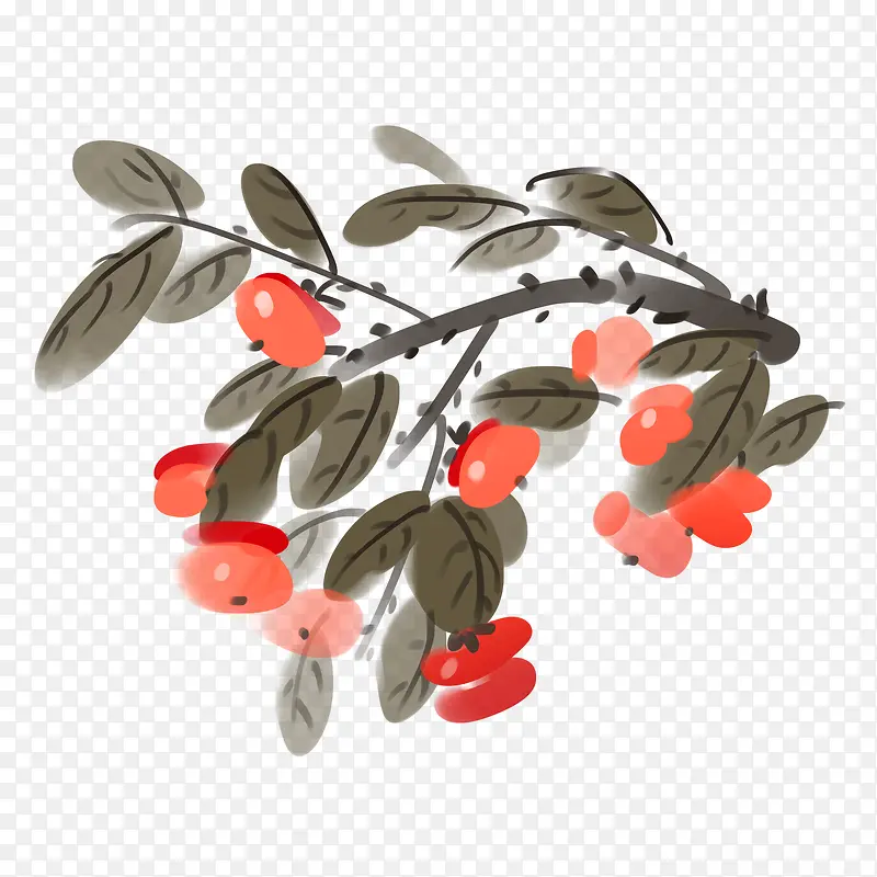 中国风手绘成熟柿子水墨