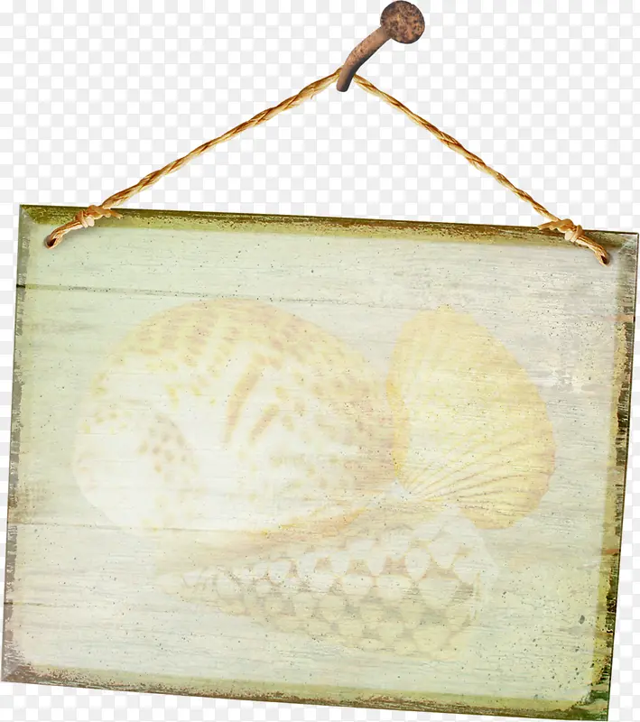 白色海鱼木板