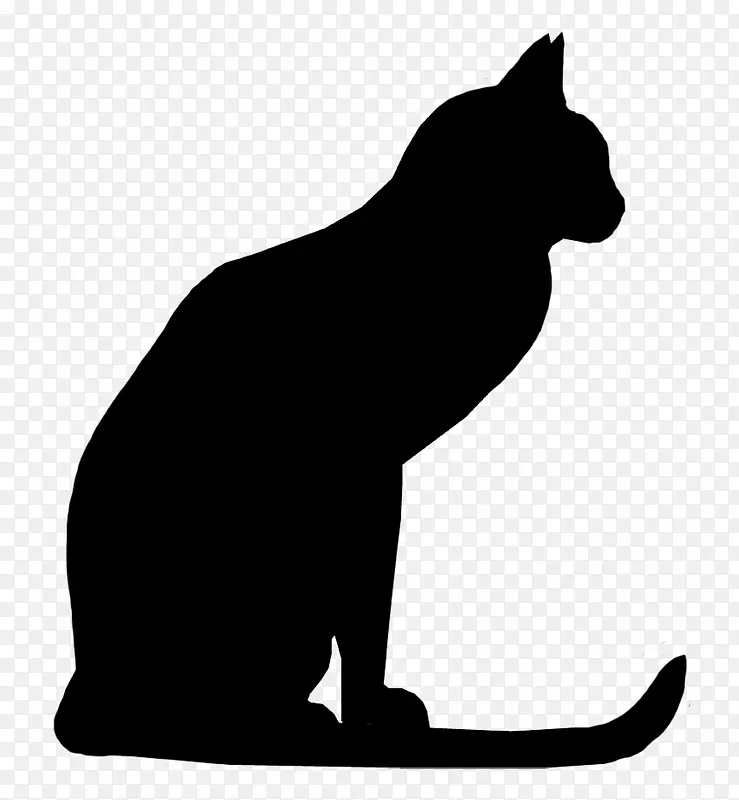 蹲坐的猫剪影