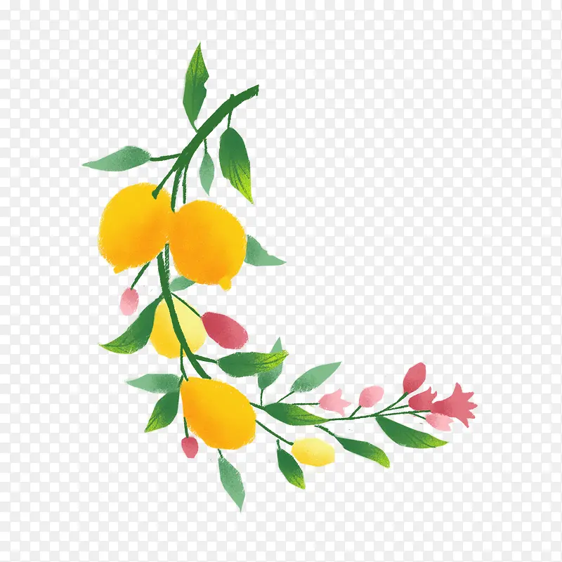 手绘黄色柠檬植物