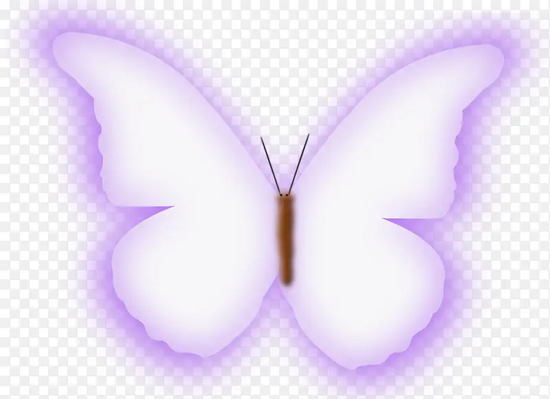 梦幻的紫色蝴蝶