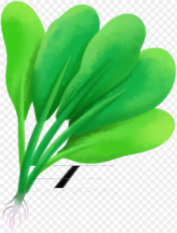手绘素材绿色植物青菜