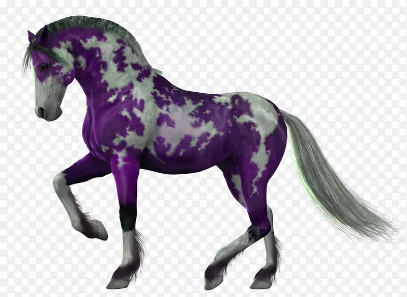 紫色花马