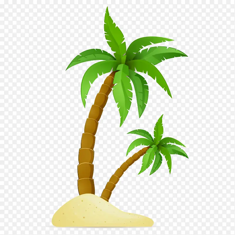 夏天里的椰子树