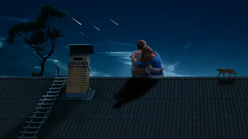 夜里欣赏美景的人