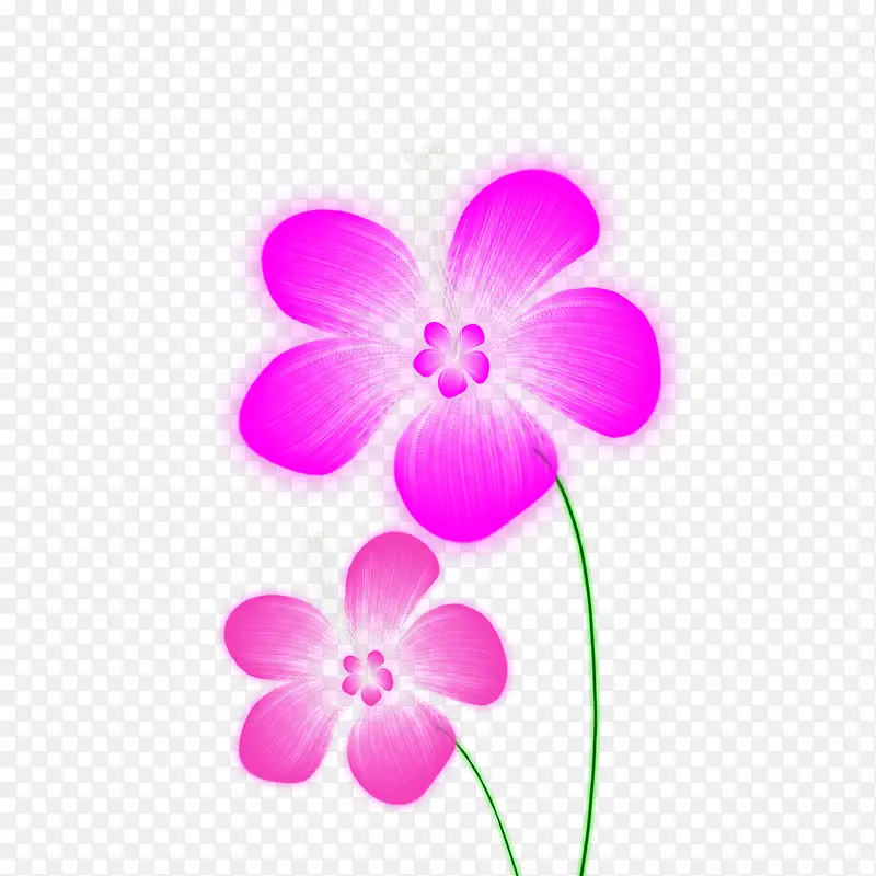 紫色小花梦幻