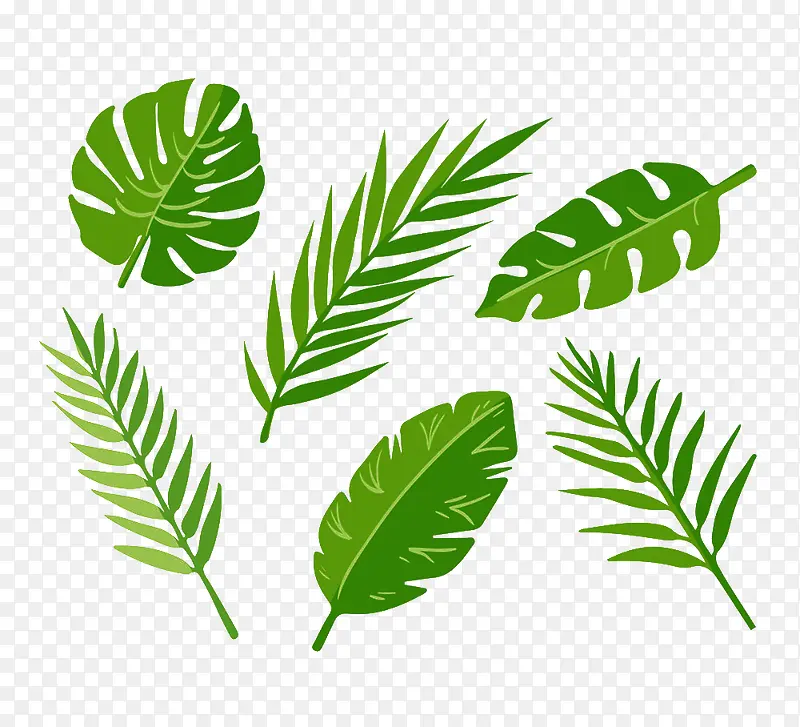 6款绿色棕榈树叶设计矢量素材