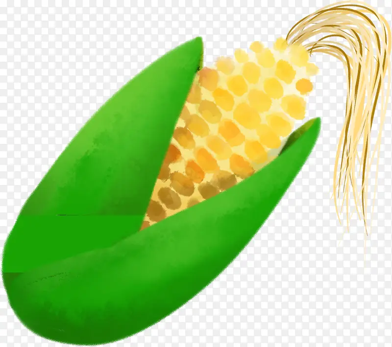 手绘素材绿色植物玉米