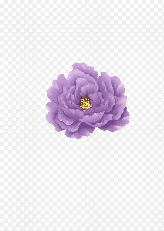 手绘风紫牡丹