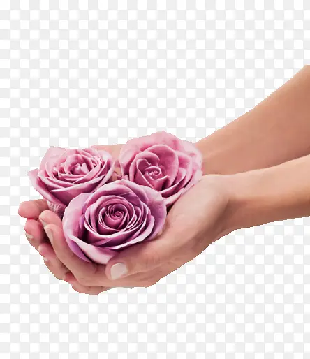 手里拿着粉红玫瑰花