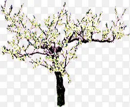 春暖花开桃花造型