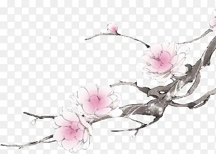 白色桃花彩绘