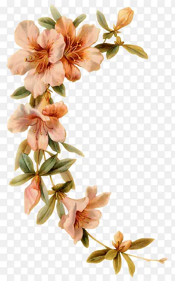 花朵花枝装饰