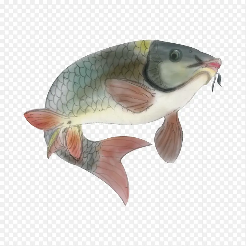 中国风水彩画鲤鱼
