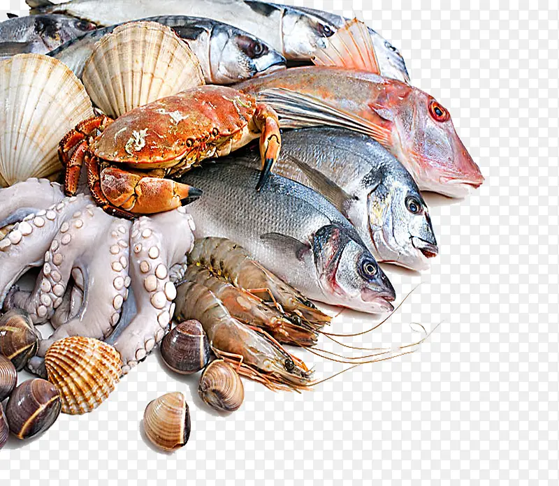 海鲜 鱼类PNG素材