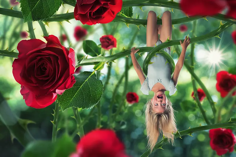 玫瑰花枝上的女孩海报背景