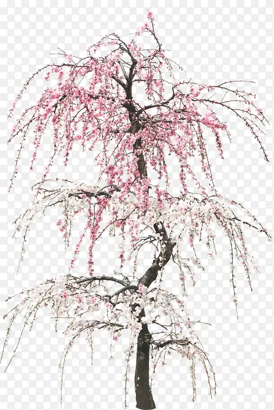 粉红免抠桃花树