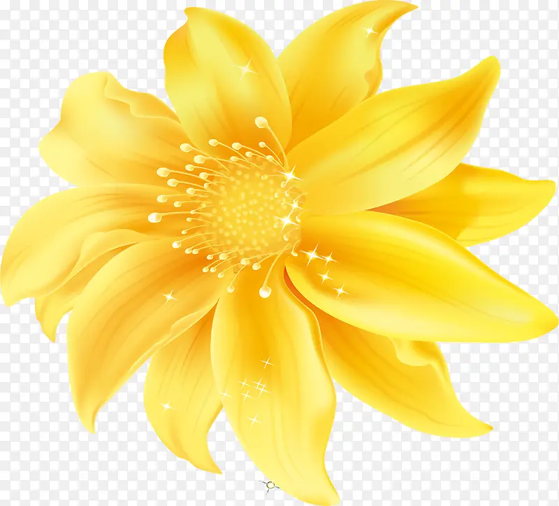 黄色精美花