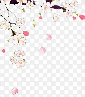 手绘桃花植物花朵