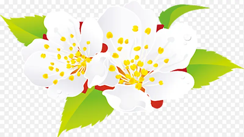 白色桃花盛开