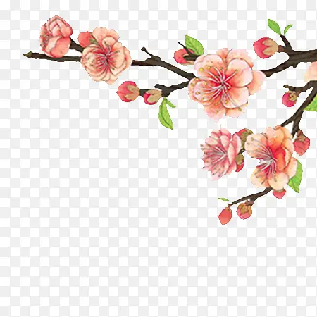 桃花手绘插画花