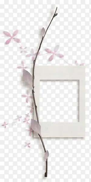 花枝相框