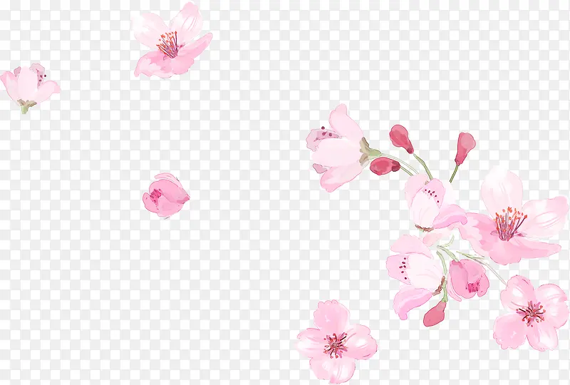 桃花花卉花纹图片