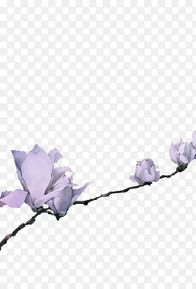 水墨花朵桃花