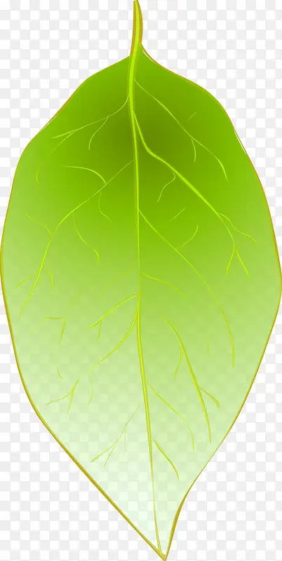 绿色叶子信封设计