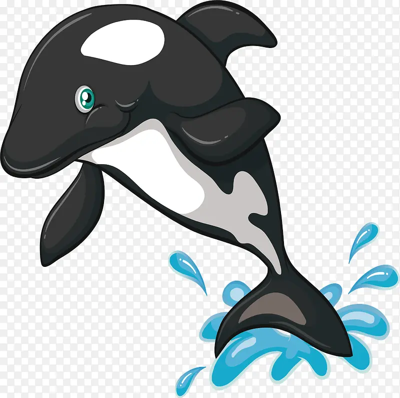 黑色跳水海豚
