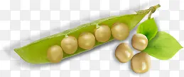 新鲜绿色豌豆素材
