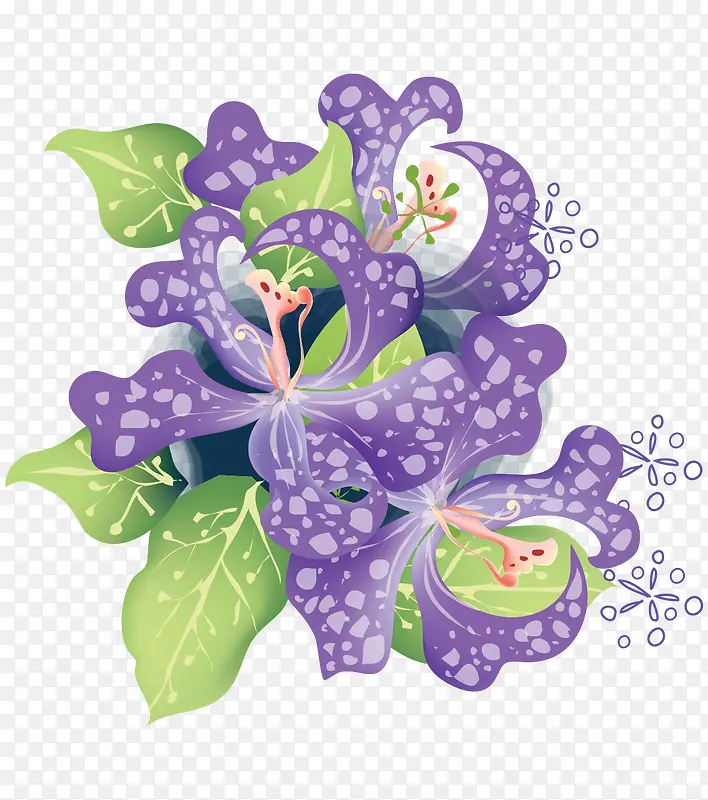 春暖花开紫色的花