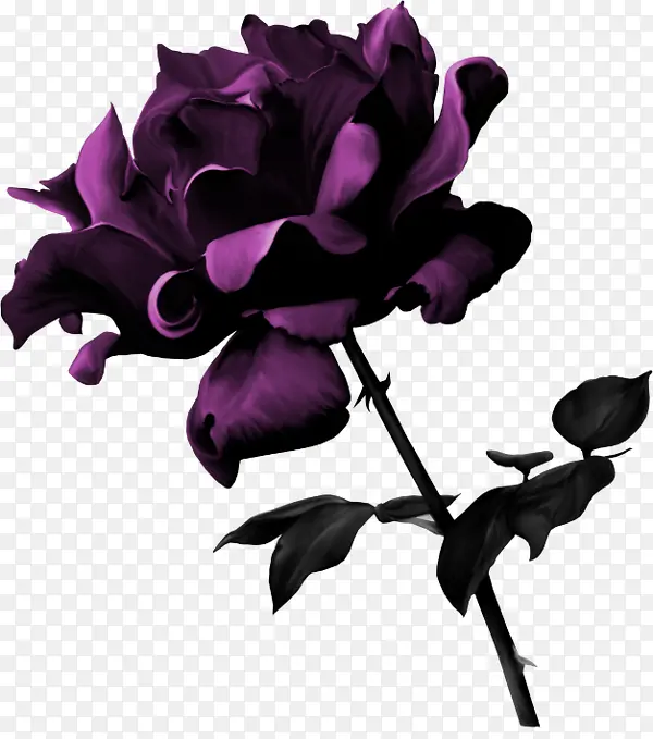 紫色魔鬼花