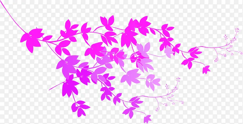 紫色手绘花纹花藤