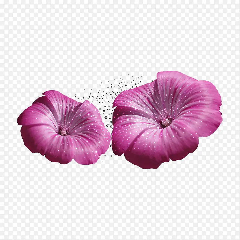 紫色梦幻精美花