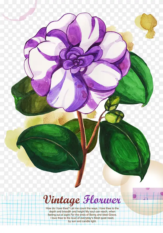 手绘紫色优雅小花