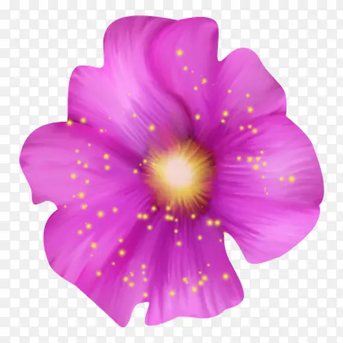 紫色小花