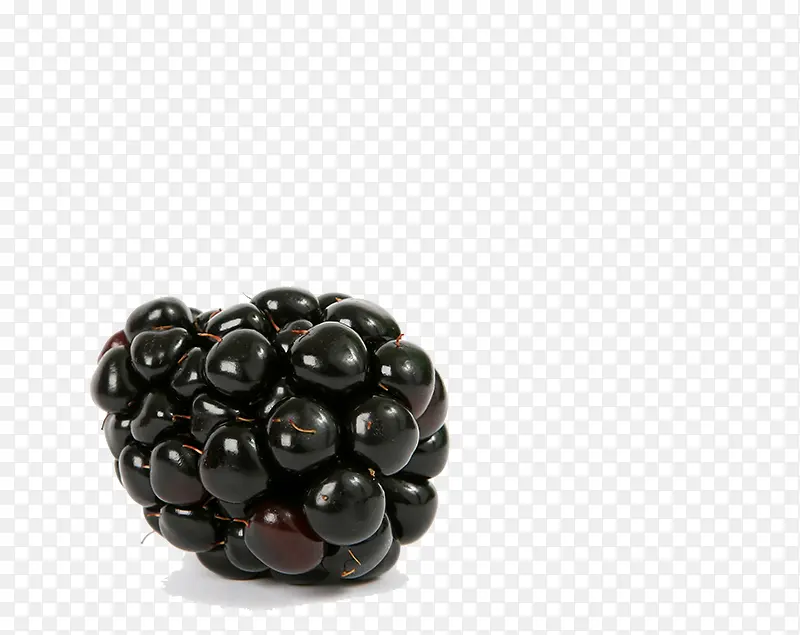 黑色的黑莓果实