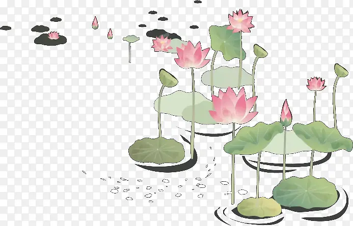 池塘的荷花···