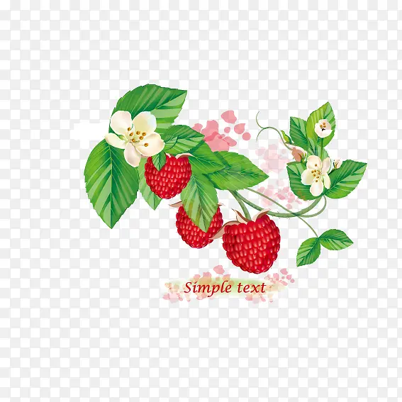 树莓果实
