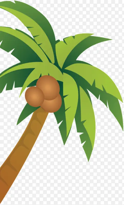 椰子椰树
