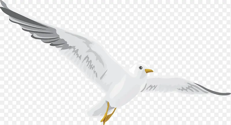 海鸥飞翔卡通图