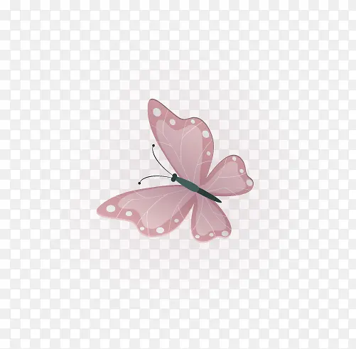 可爱美丽飞翔蝴蝶